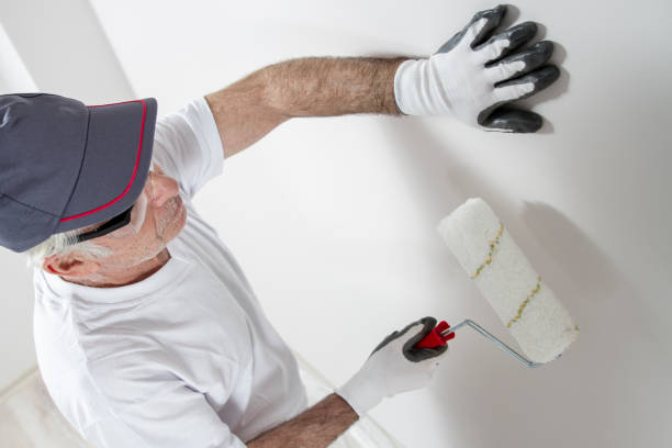 Professional Painting & Drywall Services in Bonduel, WI